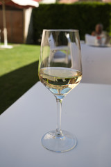 Rioja Alavesa white wine glass