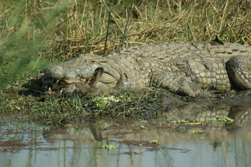 SONY DSC
