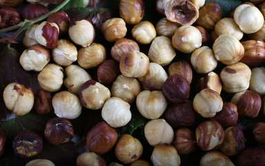 Hazelnuts on leaves background