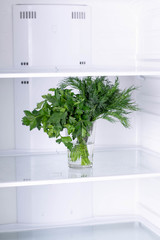 Green fresh parsley and dill in water in refrigerator