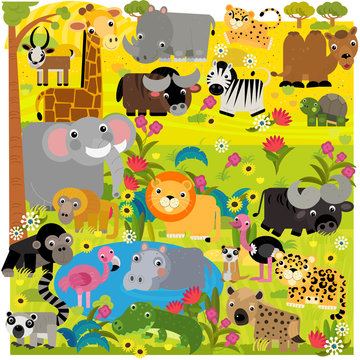cartoon africa safari scene with different animals by the pond illustration for children