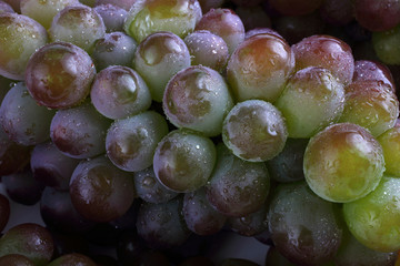 Bicolor grape background