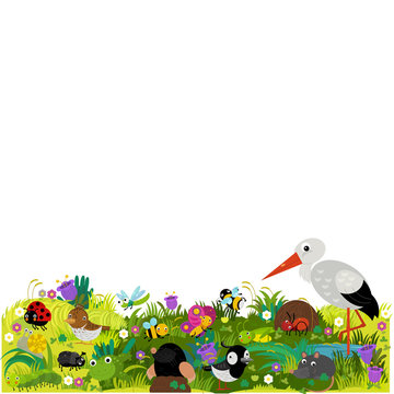 cartoon scene with different european animals rodents and bugs on the forest meadow illustration © honeyflavour