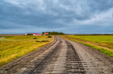 Road of  Iceland in summer season