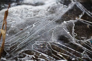 Ice shapes in river bank water in spring