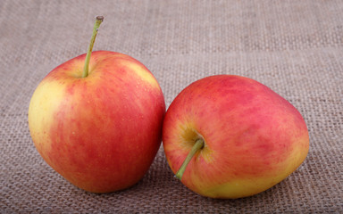 Little apples on bagging