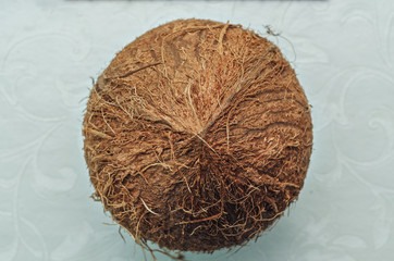 coconut on a light background, top view