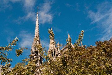 Aguja de Notre Dame
