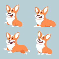 Set of Corgi dogs in different poses. Flat style illustration with isolated objects.