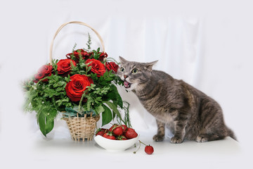 basket with roses, strawberries and a cat