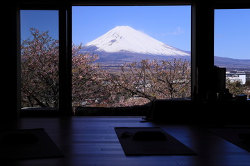 座禅堂の中から見えた桜と富士山の絶景