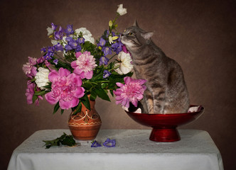grey cat and flowers