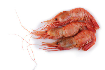 Big shrimps isolated on white