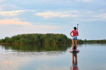Fototapeta na wymiar Woman on SUP (Stand Up Paddle Board), paddling at the calm lake near reeds in the evening