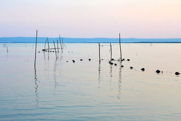 Fishing net floats in water surface of the lake at the evening
