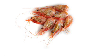 Shrimps isolated on white