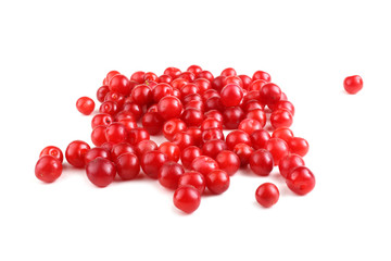 Nanking cherry isolated on white