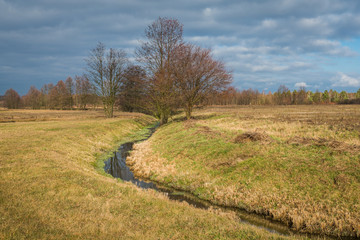 Small river at sunny day somewhere in Masovia, Poland