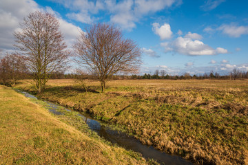 Small river at sunny day somewhere in Masovia, Poland