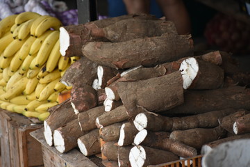 yucca root for sale market