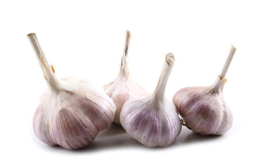 Garlic isolated on white