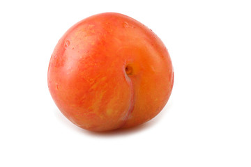 Plum