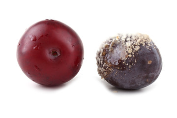 Plum and rotten plum