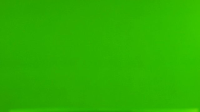 two German pigeon modena isolated on gren screen, flying dove
