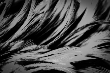 Beautiful abstract colorful gray and white feathers on white background and soft pink feather texture on white pattern and light black background banners