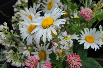 Bouquet of various wild flowers. Selective focus.
