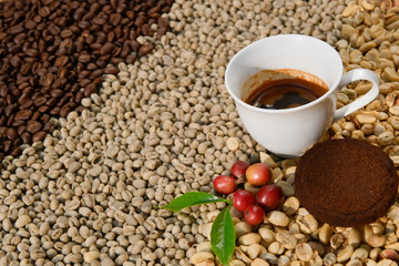 Espresso coffee in a white cup on the background is an Arabica coffee bean.