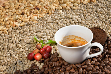 Espresso coffee in a white cup on the background is an Arabica coffee bean.
