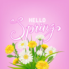 Hello Spring lettering template background with flowers dandelions and daisies, chamomiles, grass