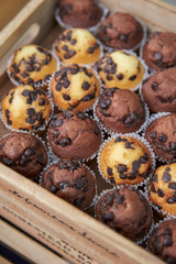 Chocolate chip muffin at buffet 