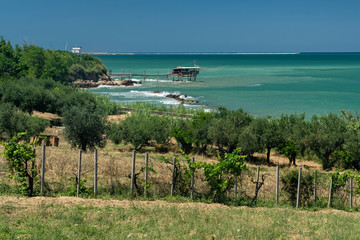 Trebuchet along the coast of Abruzzo