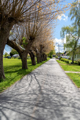 bench in a summer garden, the rays of the sun