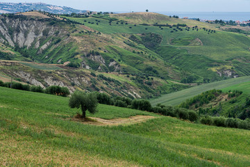 Landscape in the Natural Park of Atri, Abruzzo