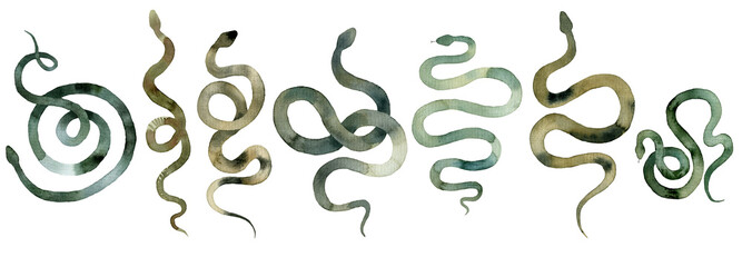 green different snakes, set of abstract watercolor, hand drawing, illustration - 325714423