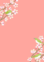 Three little birds perching on Cherry blossom twigs, vertical layout