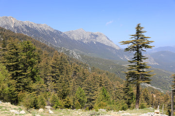 Mountain landscape on famouse Likya Yolu  tourist way in Turkey