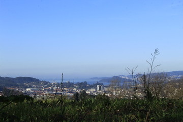 The Galician deciduous forest in the month of February
