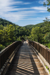 Fototapeta na wymiar Wooden bridge surrounded by vegetation and trees with clouds in the blue sky