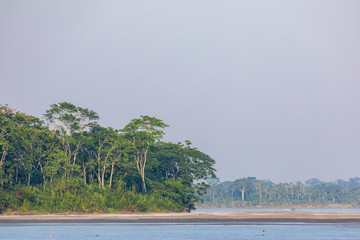Amazing scenic view Tropical forest with jungle river on background green trees in Ecuador. South...