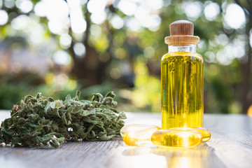 Glass bottles containing hemp oil, CBD and medicine extracted from hemp oil. Concept Medical...