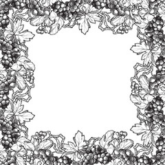 Grapes clusters with leaves. Decorative rectangular frame. Ink style black and white drawing isolated on white background. EPS10 vector illustration