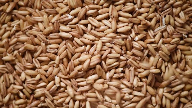 Oat grains on rotating background. Food ingredient background. Grains and seeds texture. Top view, healthy lifestyle concept. Vegan healthy nutrition. Cooking process.