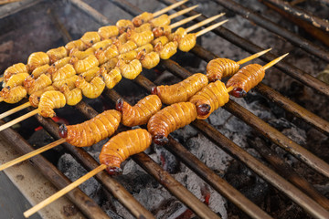 Edible palm weevil larvae (Rhynchophorus phoenicis) at traditional food market in Puerto Francisco...