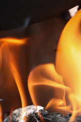 Piece of wood burning in fire lit by sunlight placed diagonally