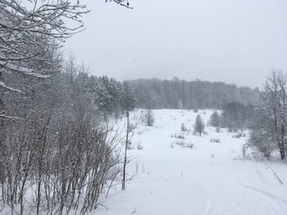  panoramic view of the road in the snow and trees in the forest in winter