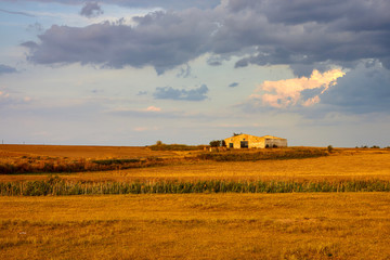Fototapeta premium Destroyed cow farm among the steppe at sunset